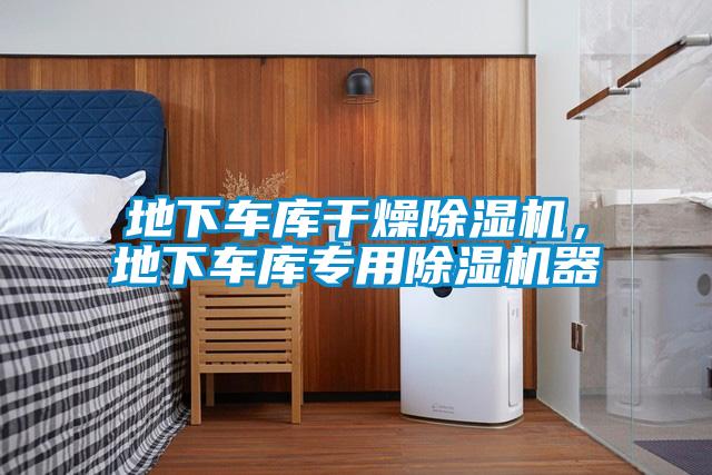 地下車庫干燥除濕機(jī)，地下車庫專用除濕機(jī)器