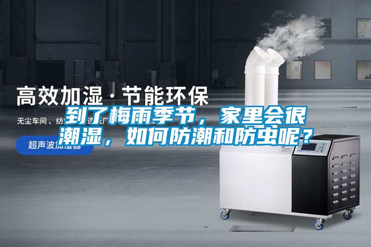 到了梅雨季節(jié)，家里會(huì)很潮濕，如何防潮和防蟲呢？