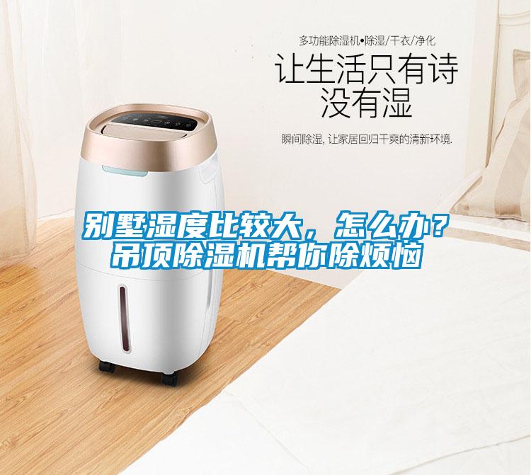 別墅濕度比較大，怎么辦？吊頂除濕機(jī)幫你除煩惱
