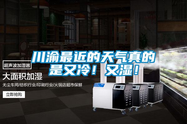 川渝最近的天氣真的是又冷！又濕！