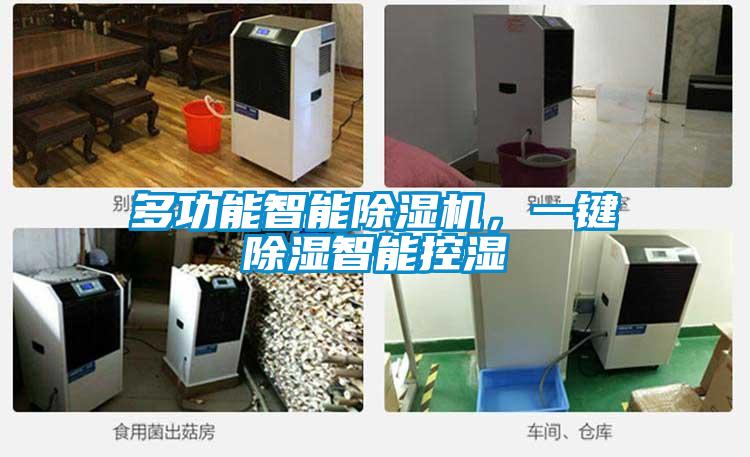 多功能智能除濕機(jī)，一鍵除濕智能控濕