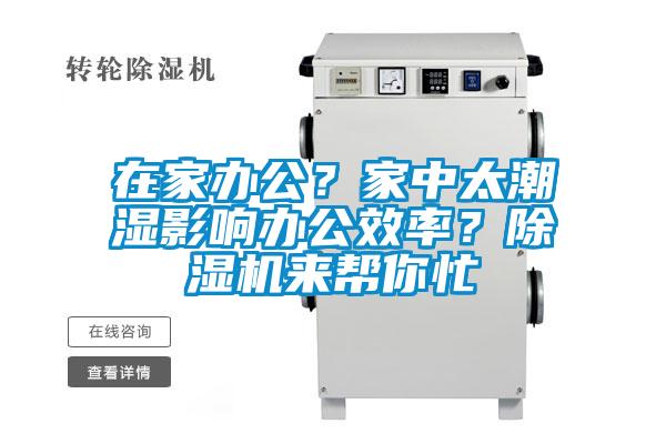 在家辦公？家中太潮濕影響辦公效率？除濕機來幫你忙