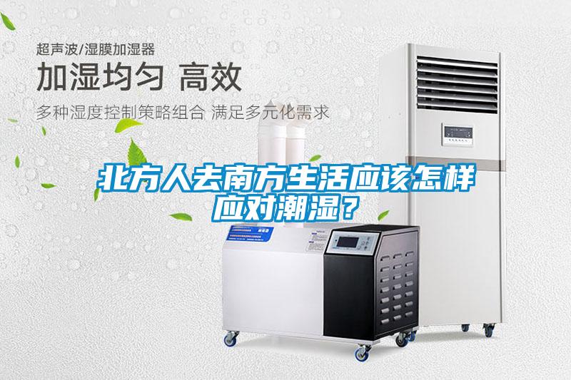 北方人去南方生活應(yīng)該怎樣應(yīng)對潮濕？