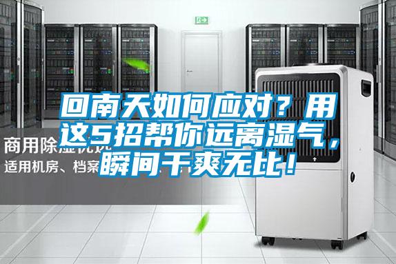 回南天如何應(yīng)對(duì)？用這5招幫你遠(yuǎn)離濕氣，瞬間干爽無比！