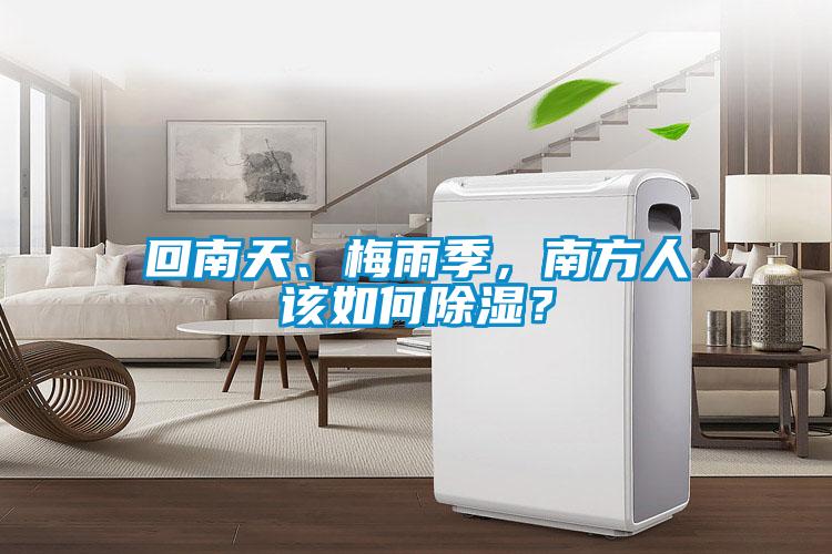 回南天、梅雨季，南方人該如何除濕？