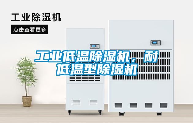 工業(yè)低溫除濕機，耐低溫型除濕機