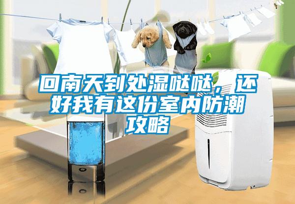回南天到處濕噠噠，還好我有這份室內(nèi)防潮攻略