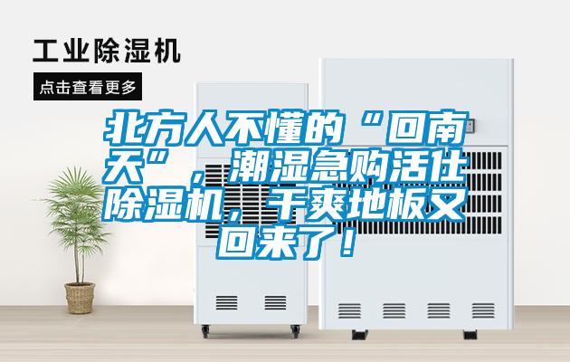 北方人不懂的“回南天”，潮濕急購活仕除濕機(jī)，干爽地板又回來了！