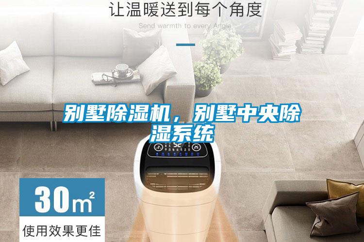 別墅除濕機(jī)，別墅中央除濕系統(tǒng)