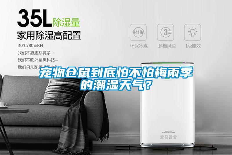 寵物倉(cāng)鼠到底怕不怕梅雨季的潮濕天氣？