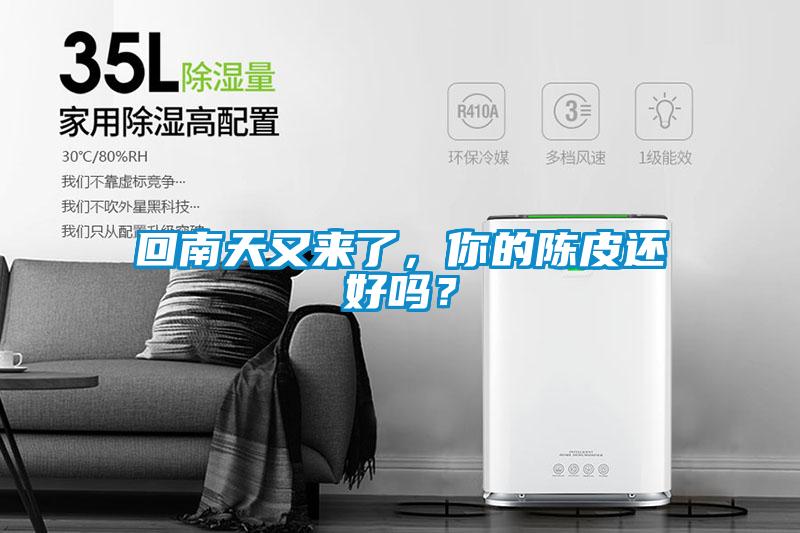 回南天又來了，你的陳皮還好嗎？