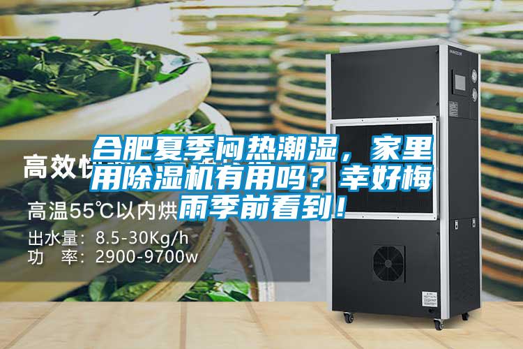 合肥夏季悶熱潮濕，家里用除濕機(jī)有用嗎？幸好梅雨季前看到！