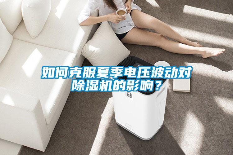 如何克服夏季電壓波動(dòng)對(duì)除濕機(jī)的影響？