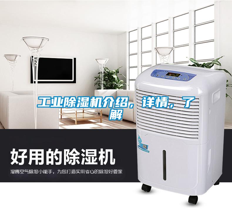 工業(yè)除濕機介紹，詳情，了解