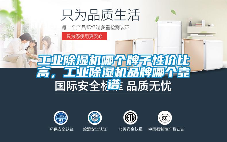 工業(yè)除濕機(jī)哪個牌子性價比高，工業(yè)除濕機(jī)品牌哪個靠譜