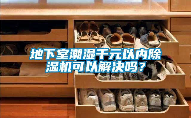 地下室潮濕千元以內(nèi)除濕機(jī)可以解決嗎？
