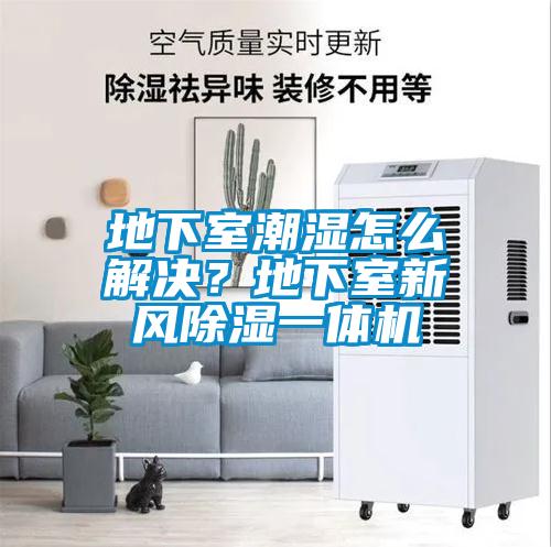 地下室潮濕怎么解決？地下室新風除濕一體機
