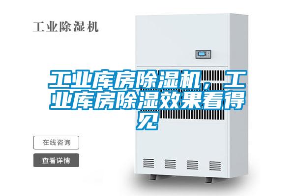 工業(yè)庫房除濕機，工業(yè)庫房除濕效果看得見