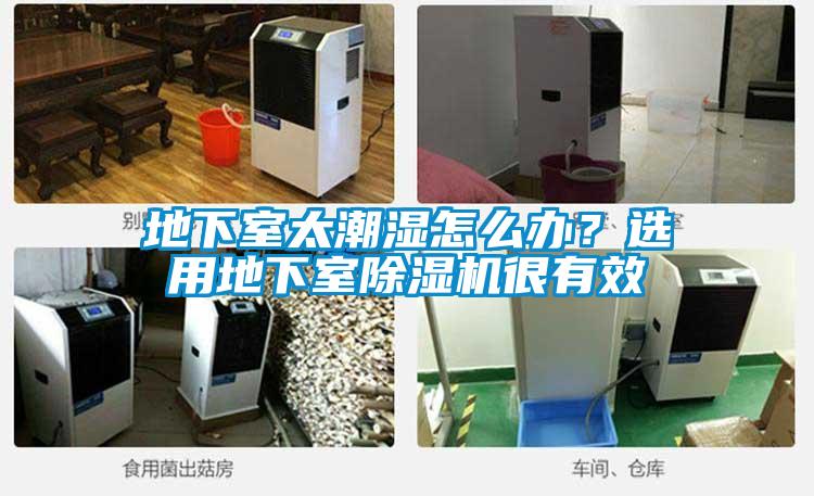 地下室太潮濕怎么辦？選用地下室除濕機(jī)很有效