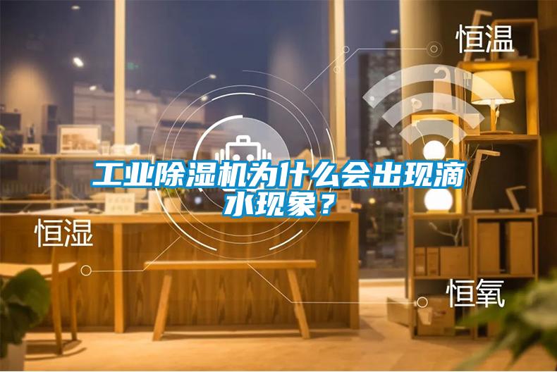 工業(yè)除濕機為什么會出現(xiàn)滴水現(xiàn)象？