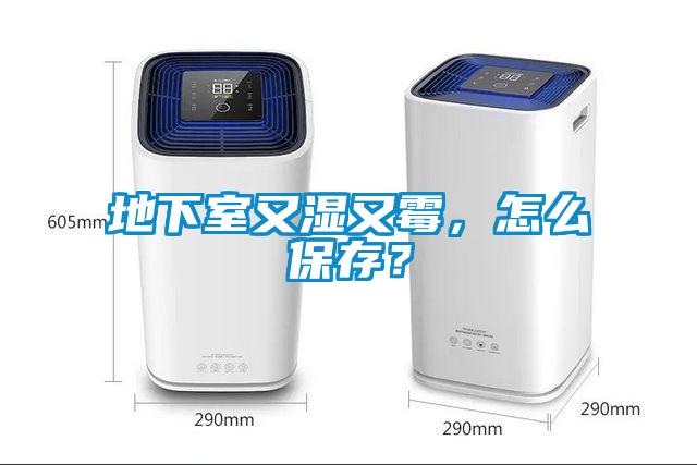 地下室又濕又霉，怎么保存？