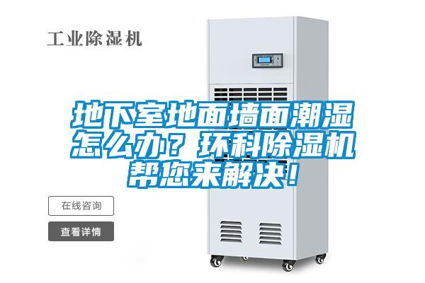 地下室地面墻面潮濕怎么辦？環(huán)科除濕機幫您來解決！