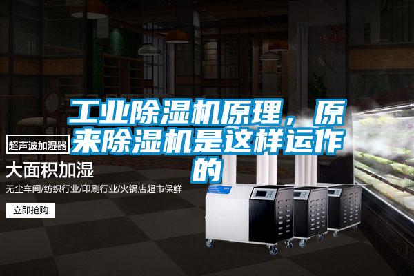工業(yè)除濕機(jī)原理，原來除濕機(jī)是這樣運(yùn)作的