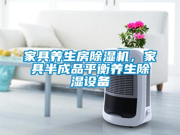 家具養(yǎng)生房除濕機(jī)，家具半成品平衡養(yǎng)生除濕設(shè)備