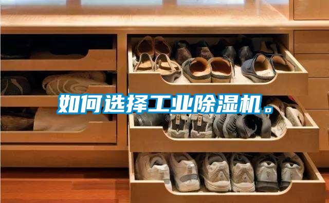 如何選擇工業(yè)除濕機(jī)。
