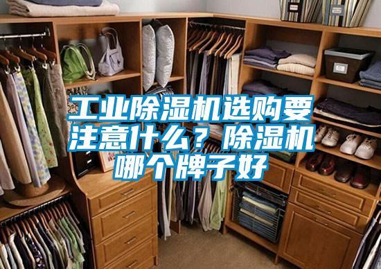 工業(yè)除濕機(jī)選購要注意什么？除濕機(jī)哪個牌子好