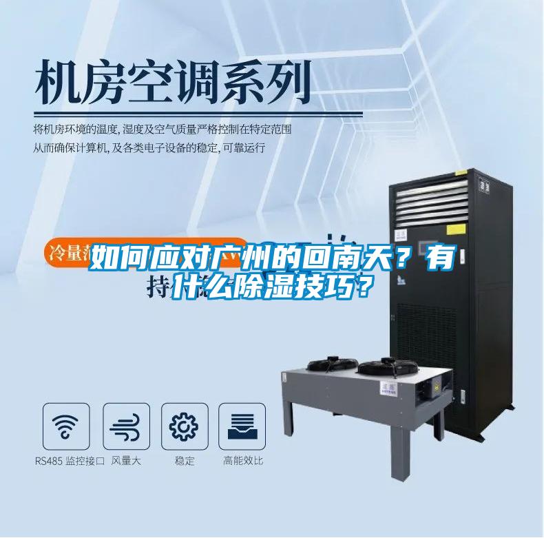 如何應對廣州的回南天？有什么除濕技巧？