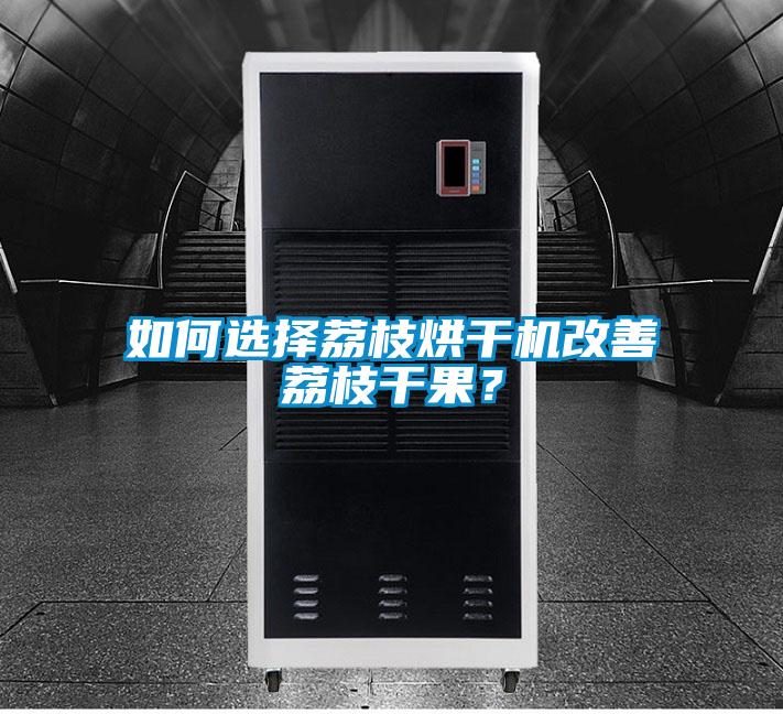 如何選擇荔枝烘干機改善荔枝干果？