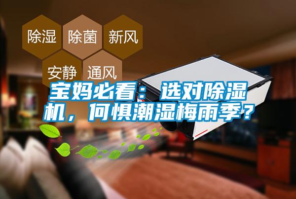 寶媽必看：選對除濕機，何懼潮濕梅雨季？