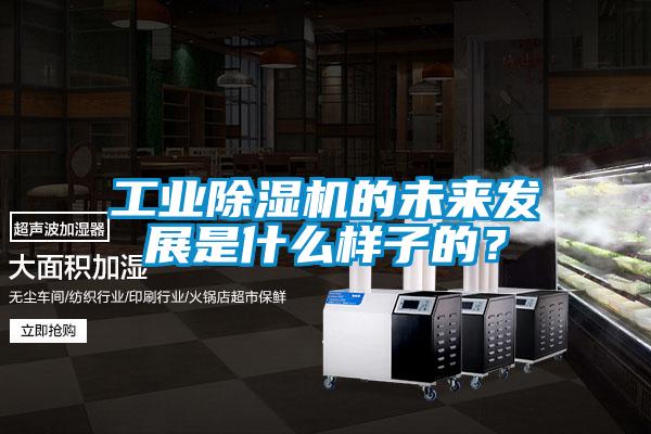 工業(yè)除濕機(jī)的未來(lái)發(fā)展是什么樣子的？
