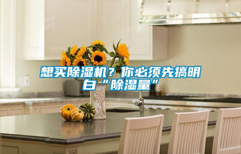 想買除濕機(jī)？你必須先搞明白“除濕量”