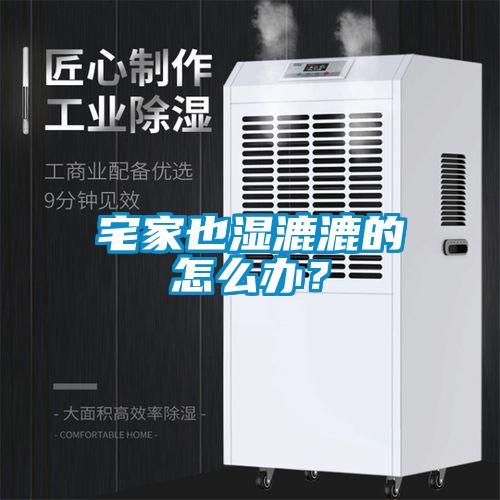 宅家也濕漉漉的怎么辦？