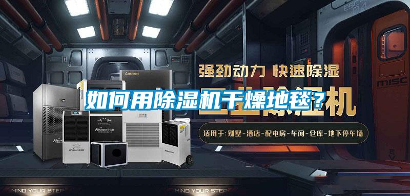 如何用除濕機(jī)干燥地毯？