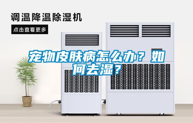 寵物皮膚病怎么辦？如何去濕？