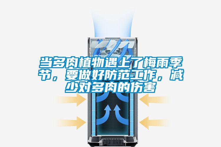 當(dāng)多肉植物遇上了梅雨季節(jié)，要做好防范工作，減少對(duì)多肉的傷害