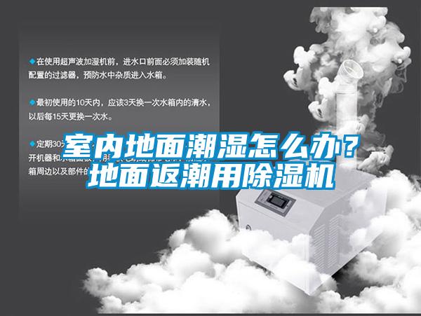 室內(nèi)地面潮濕怎么辦？地面返潮用除濕機(jī)