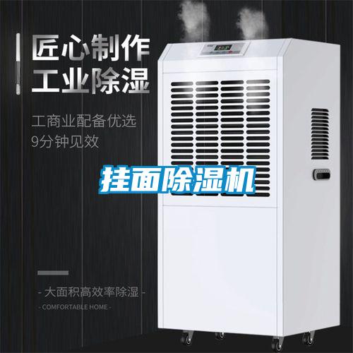 掛面除濕機(jī)