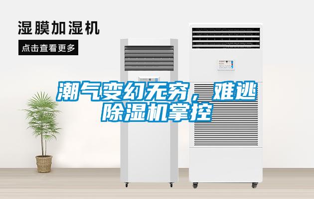 巧用車間除濕機(jī)，解決食品廠車間蒸汽問(wèn)題