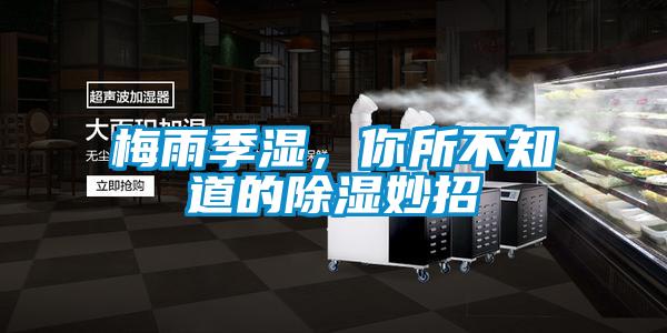 梅雨季濕，你所不知道的除濕妙招