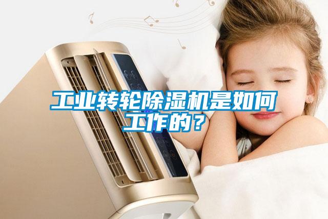 工業(yè)轉(zhuǎn)輪除濕機(jī)是如何工作的？
