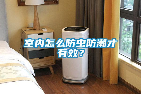 室內(nèi)怎么防蟲防潮才有效？