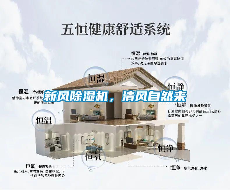 新風(fēng)除濕機(jī)，清風(fēng)自然來(lái)