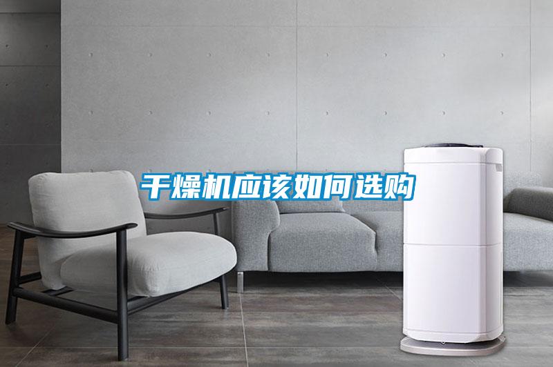 年年除濕年年濕，如何快速除濕？
