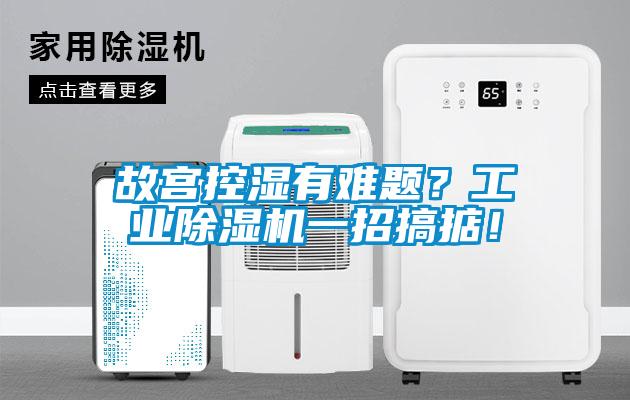 故宮控濕有難題？工業(yè)除濕機一招搞掂！