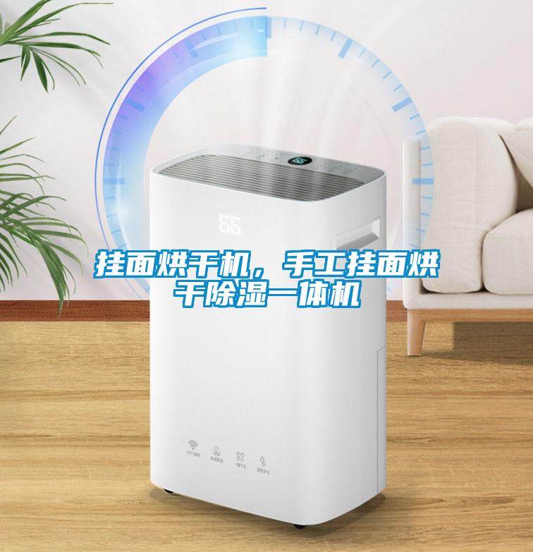 掛面烘干機(jī)，手工掛面烘干除濕一體機(jī)