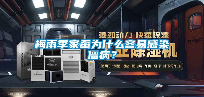 梅雨季家蠶為什么容易感染僵病？